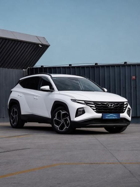 Hyundai Tuson NEW